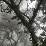 van005的头像-Share1069 精品资源分享站